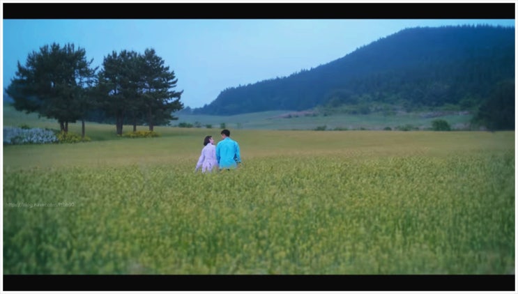  폭싹속았수다 공개일 몇부작 아이유 박보검 촬영지 원작 줄거리 동백꽃필무렵 임상춘 미생 김원석 감독 1950년대 시대배경 제주 세트장 전북 고창 청보리밭 넷플릭스
