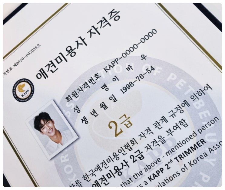  애견미용자격증학원 기초부터 전문가 과정까지 집중교육