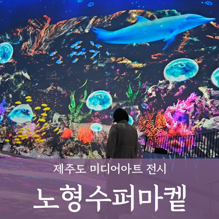  제주 노형수퍼마켙 입장료 할인 비오는날 실내 가볼만한 곳