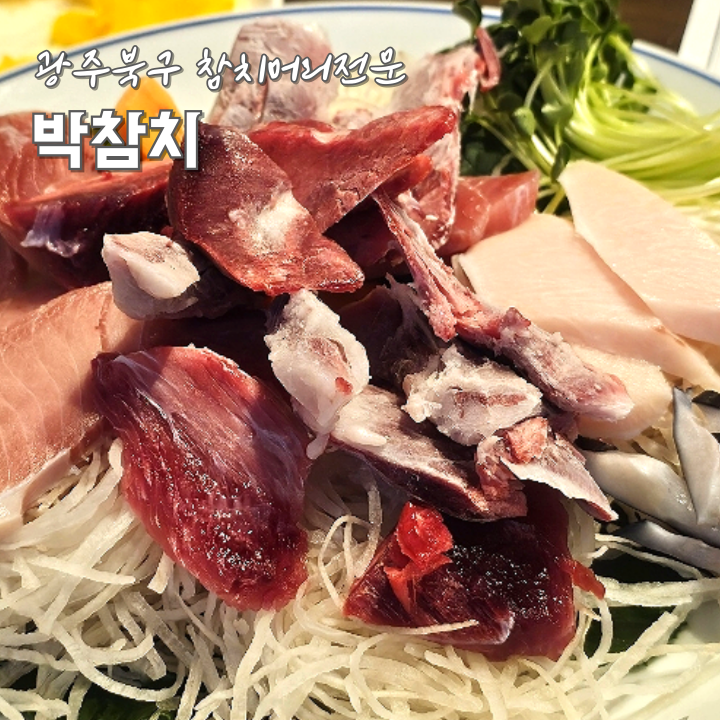 박참치 사진 1