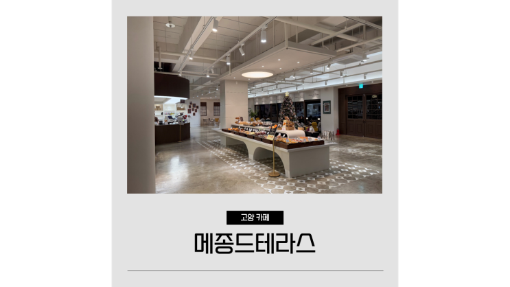  지축 맛집 메종드테라스 경기도 일산 브런치카페 대형 베이커리 가볼만한곳