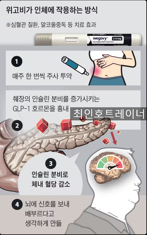  오산피티/오산헬스 다이어트약 위고비 효과랑 부작용 제대로알기