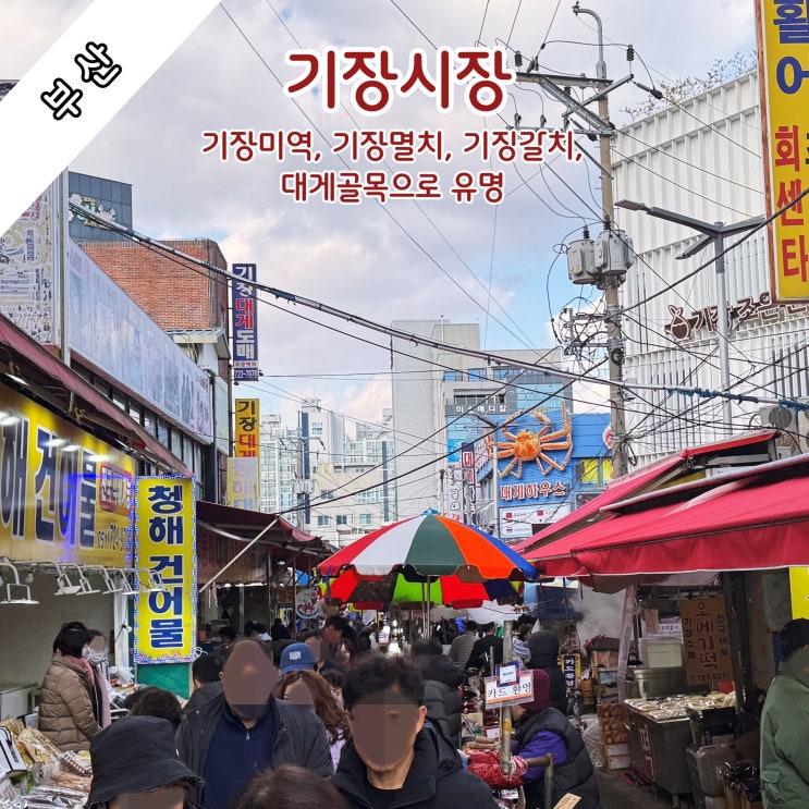  [부산] 기장미역·멸치·갈치,대게골목으로 유명한 '기장시장'