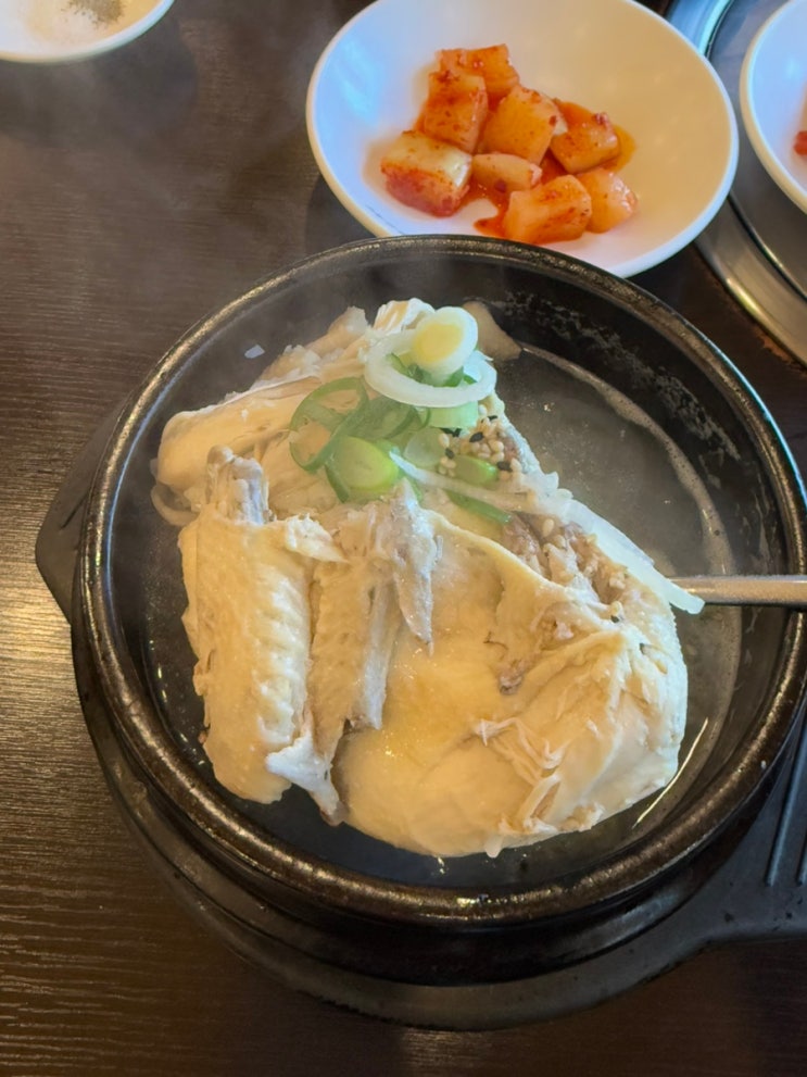  을지로입구 맛집 내림손 삼계탕/닭한마리!