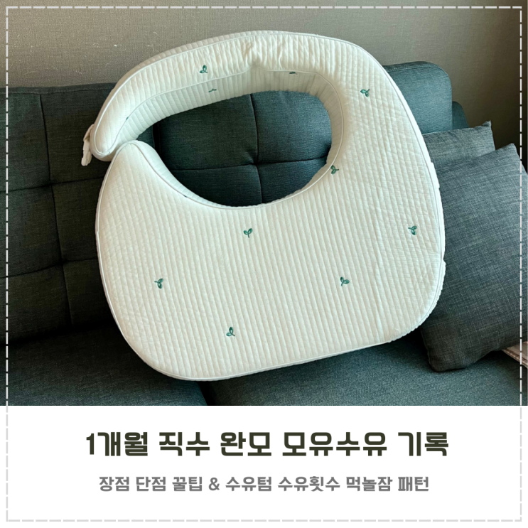  신생아 직수 완모 1개월 꿀팁과 수유 패턴 정리