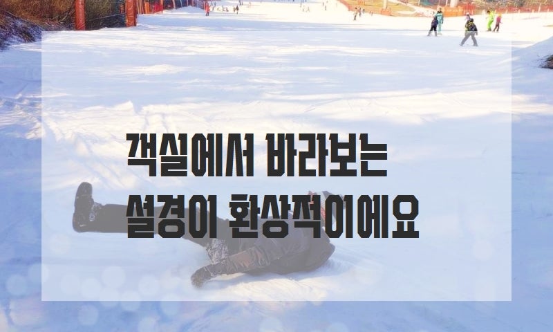 베어스타운 빌라콘도 사진 2