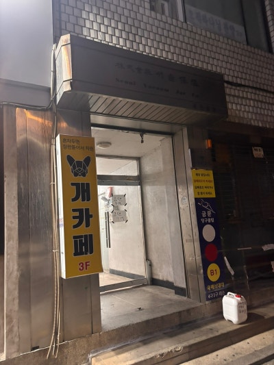 사진 4