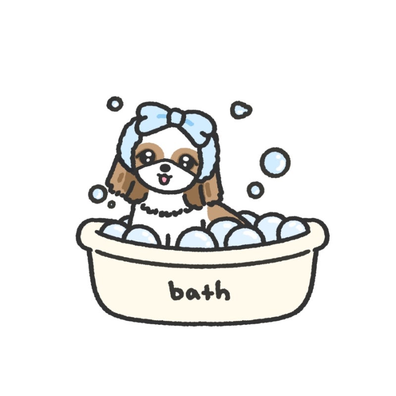 사진 4
