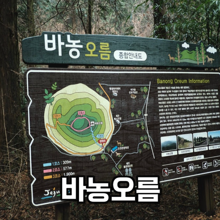  【여행】 바농오름, (작은, 큰)지그리오름, 민오름에서 천산까지 강행군 트레킹