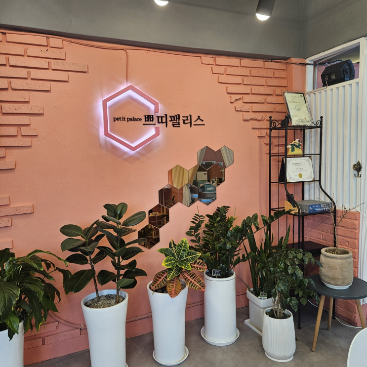  부평 승모근 관리 에스테틱 쁘띠팰리스 부평구청점