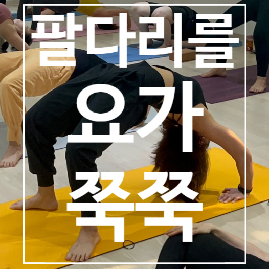  [탄현역헬스장] 요가 팔다리를 쭉쭉!