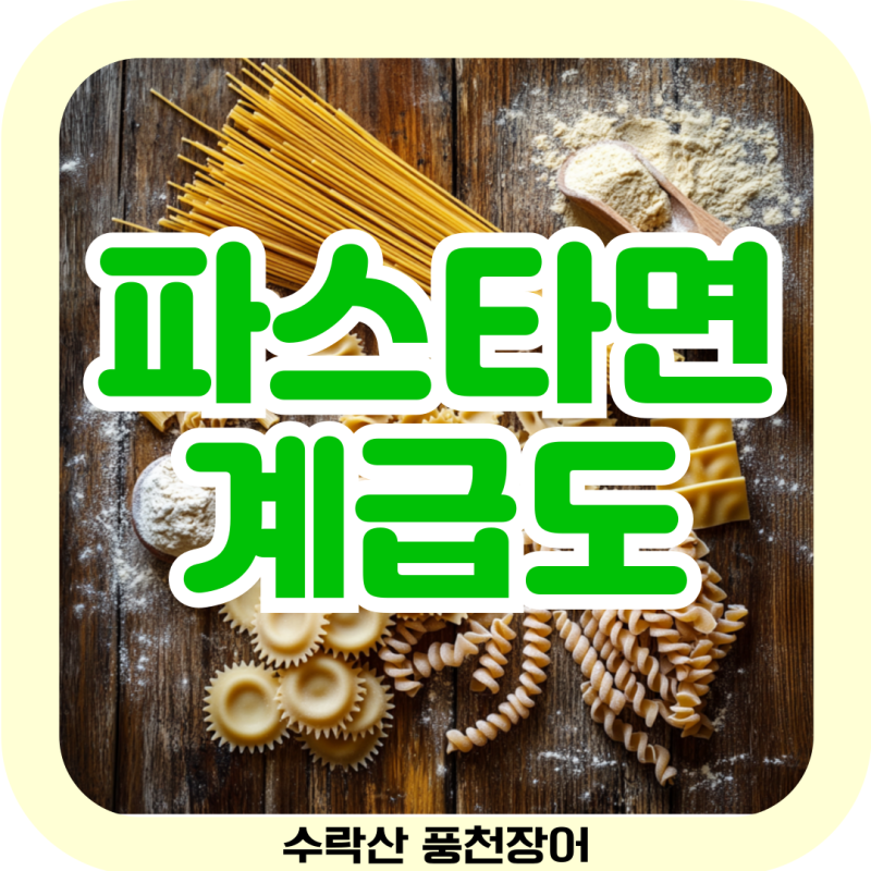 파스타면 계급도 종류 브랜드 특징 소스
