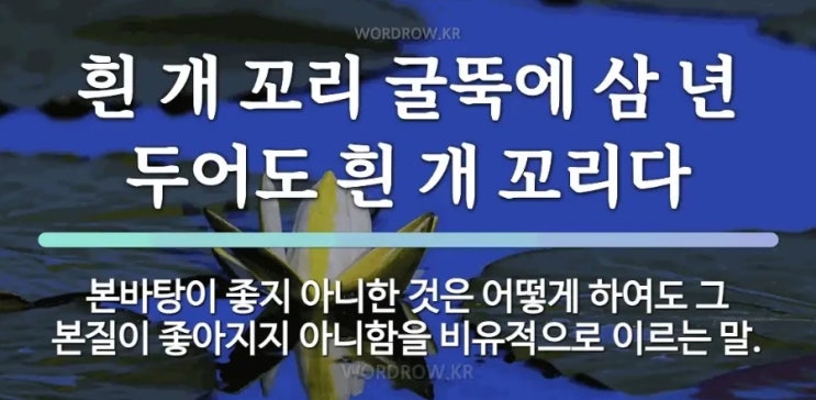 <b>트럼프 노벨평화상 추천</b> "<b>이재명</b> 대표, 농담이죠?"