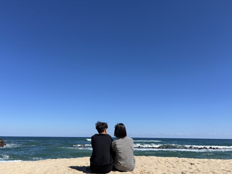  [임신일기 02] 푸롱아 안녕 / 임신5주5일 계류유산