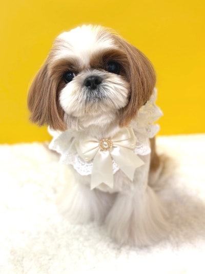 사진 6