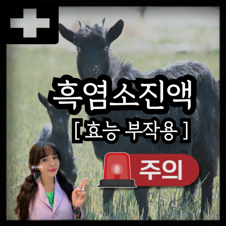  흑염소 효능 부작용 정리 흑염소진액 흑염소즙 효능