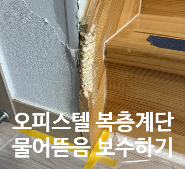  월세집 복층 나무계단 물어뜯음 이빨자국 보수 복원하기