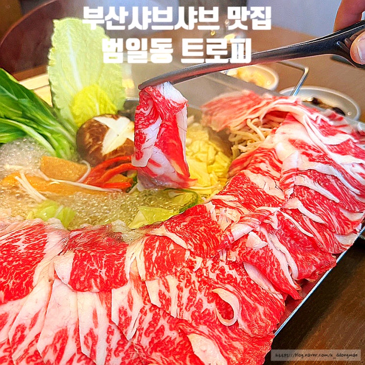  부산샤브샤브 맛집 '트로피' 범일동회식 룸식당 추천