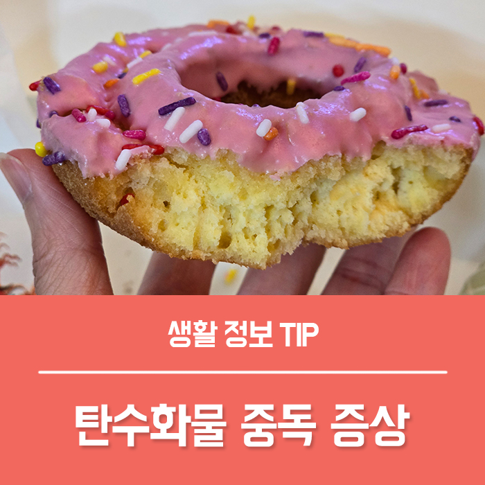  탄수화물 음식 종류 탄수화물 중독 증상, 하루 탄수화물 섭취량 부족 안먹으면?