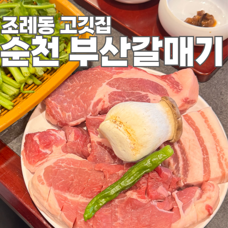  이 가격 실화 저렴한데 맛까지 좋을까? 순천 조례동 맛집 부산갈매기 순천조례점