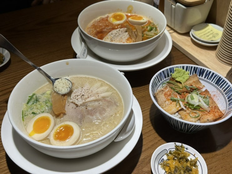  대구 동성로 맛집 멘지 토리파이탄 라멘 전문점
