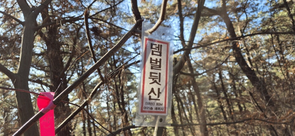 가섬배산 사진 4