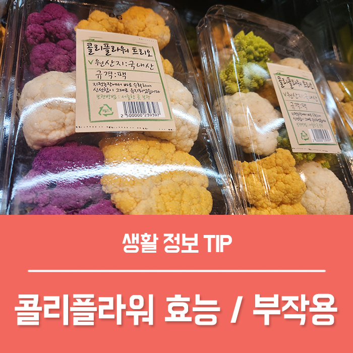  콜리플라워 효능 TOP5, 먹는법 부작용 총정리!