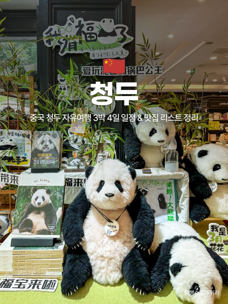  중국 청두 자유여행 3박 4일 일정 & 맛집 리스트 정리