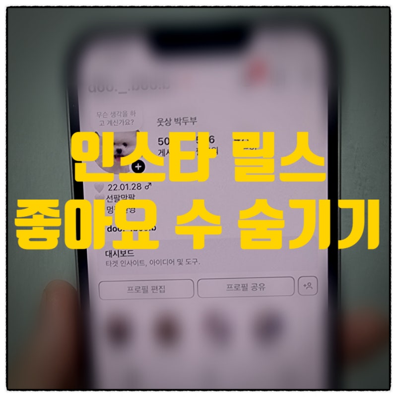 인스타 릴스 좋아요 숨기기 2가지 방법