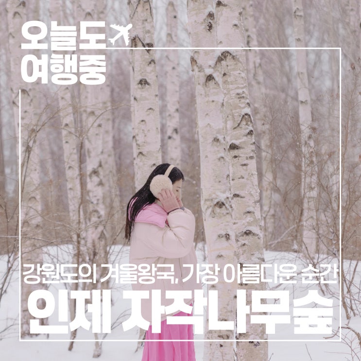  [겨울 여행지 추천] 강원도 인제 자작나무숲 가는법 여행팁 완벽정리