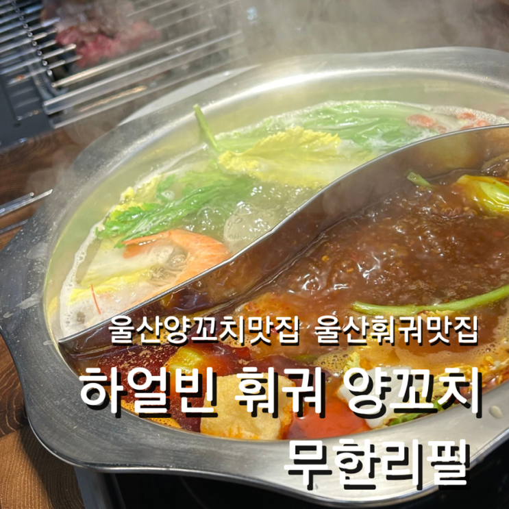  울산 삼산 가성비 맛집 하얼빈 샤브샤브 훠궈 양꼬치 무한리필