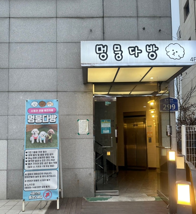 사진 5
