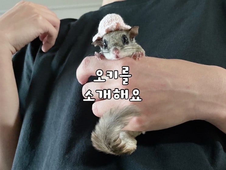  오키맘의 오키는 누구..?