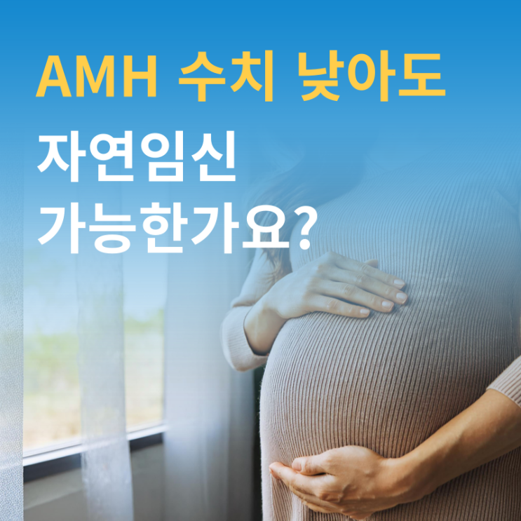  AMH 수치 낮으면 임신 어렵나요? 난소 기능과 관계는?