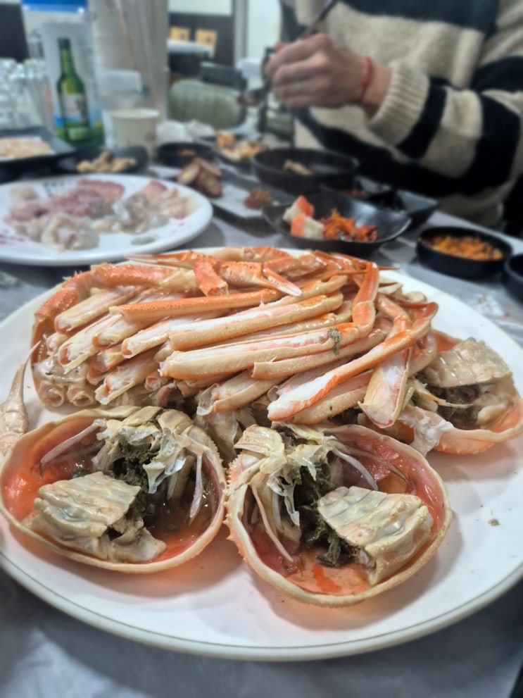  포항 죽도시장 대게 맛집 삼형제 횟집 주차정보 반려견 동반가능