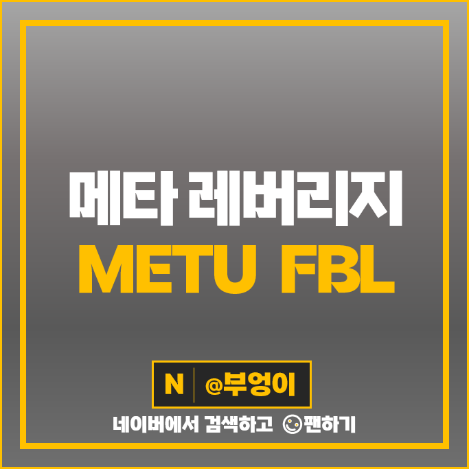 메타 플랫폼스 주식 레버리지 ETF 투자 방법 METU FBL 주가 메타 플랫폼스 주식 레버리지 ETF 투자 방법 METU FBL 주가