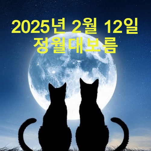  2025년 정월 대보름, 2월 12일 17시 46분에 떠올라 13일 0시 54분에 가장 높이 뜹니다.