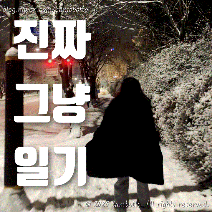  진짜 그냥 일기 | 눈이 미친듯이 오던 날, 돈까스 도시락, 처음 들어본 대남방송, 숯불갈비 저녁