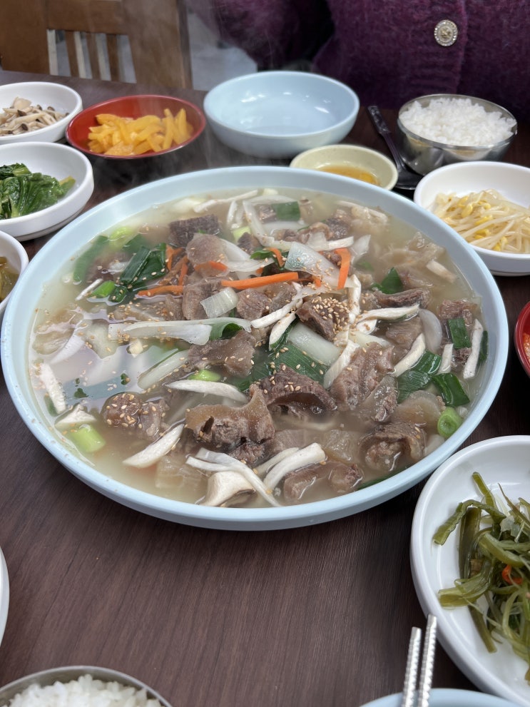  부산 • 영도 쫠깃한 한우스지맛집, 왔다식당