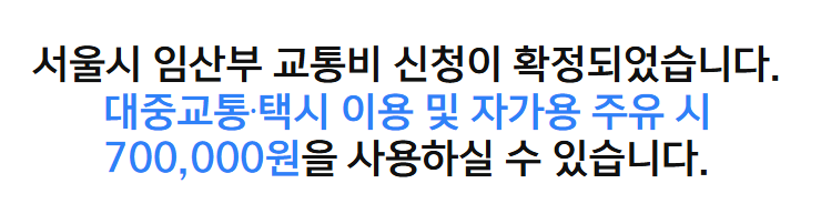 서울시 임산부 교통비 가맹점 조회방법 서울시 임산부 교통비 가맹점 조회방법