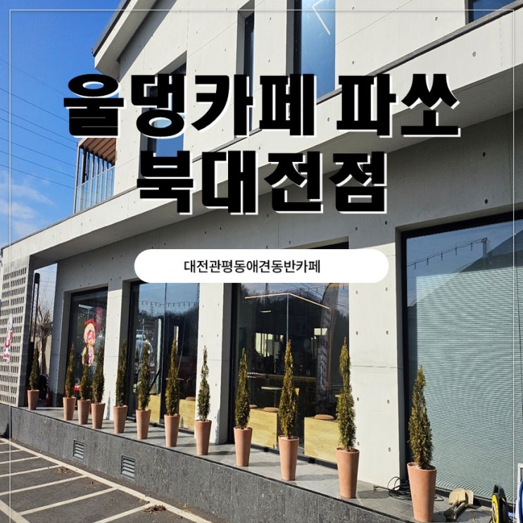  대전애견동반카페 울댕카페파쏘 북대전점 아이랑 다녀온후기