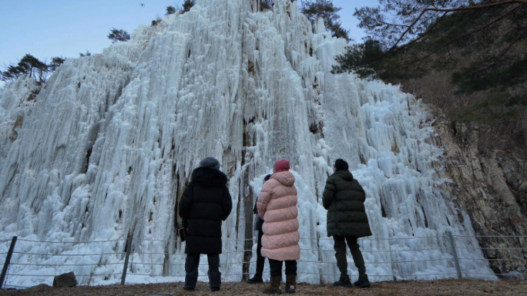 박원숙의 <b>같이 삽시다</b> 청송... 이색 캠핑 거대한 투명 텐트 <b>윤다훈</b>