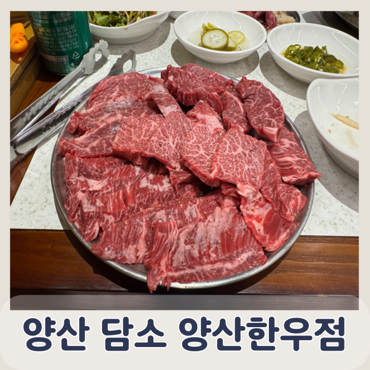 양산중부동소고기 직장인회식장소추천 가족외식 담소 양산한우점