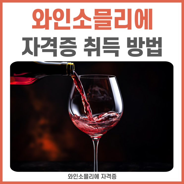 와인소믈리에 자격증 취득 방법(+직무 교육) 와인소믈리에 자격증 취득 방법(+직무 교육)