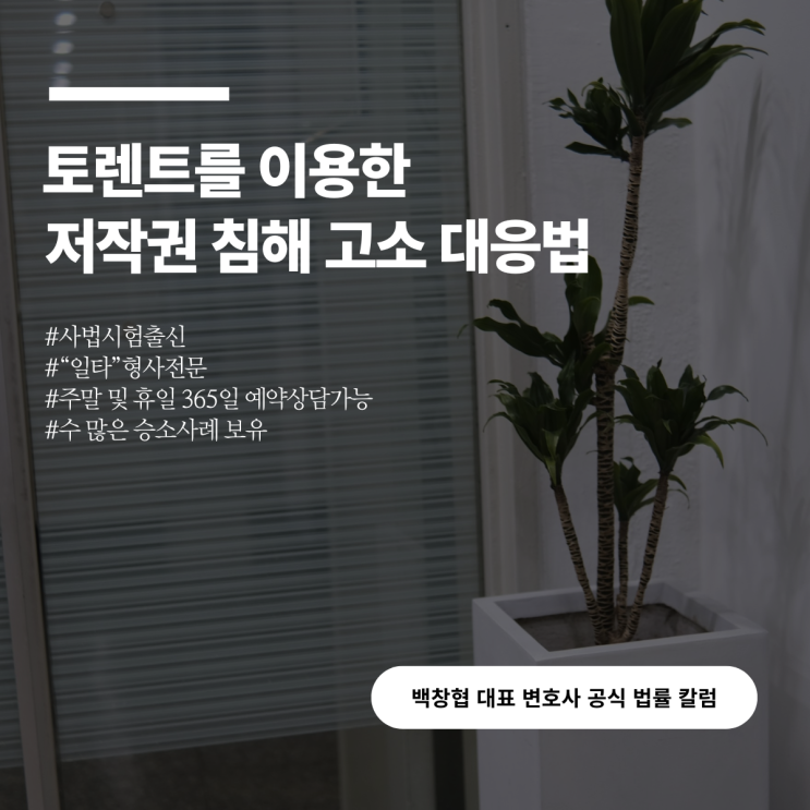 토렌트를 이용한 저작권 침해 고소 대응법