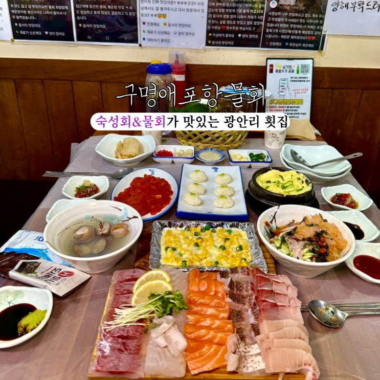  부산 광안리 맛집 구명애포항물회 광안리본점 : 숙성회와 물회가 찐으로 맛있는 숨은 맛집 [부산 광안리]