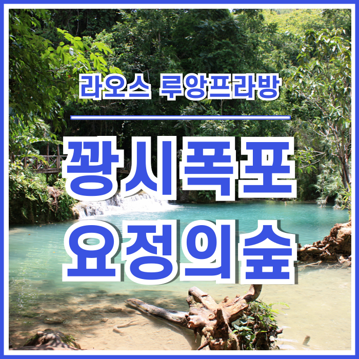  [라오스] 라오스 루앙프라방의 경이로운 요정의 숲, 꽝시폭포 방문한 추억