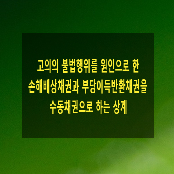  고의의 불법행위를 원인으로 한 손해배상채권과 부당이득반환채권을 수동채권으로 하는 상계