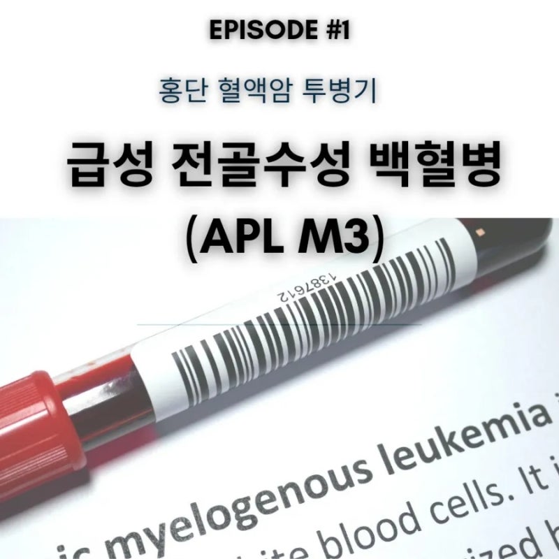 episode #1) 혈액암계의 폭탄, 급성 전골수성 백혈병(APL M3)이란?
