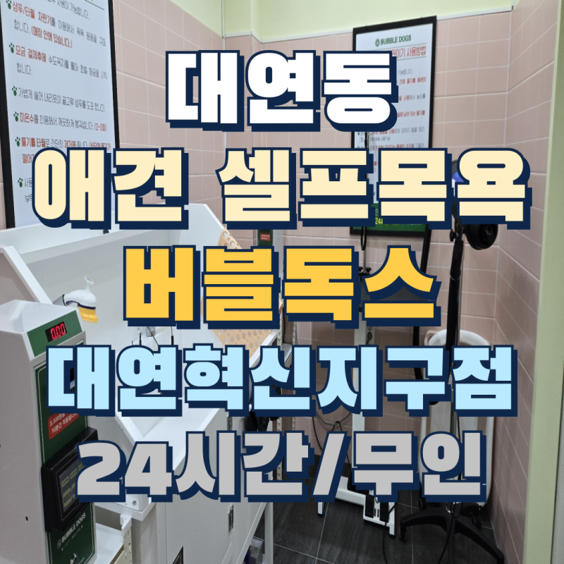 사진 4